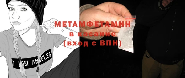 индика Алексин