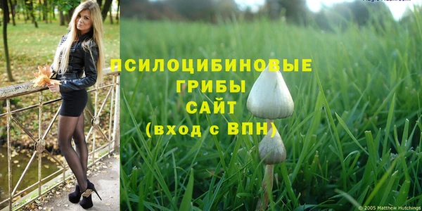 МДПВ Алексеевка