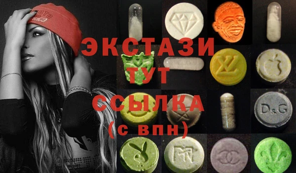 индика Алексин