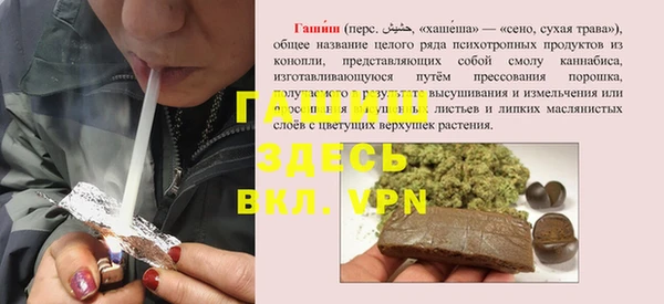 индика Алексин