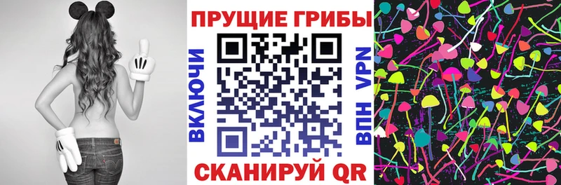 как найти закладки  Благодарный  Псилоцибиновые грибы Psilocybine cubensis 