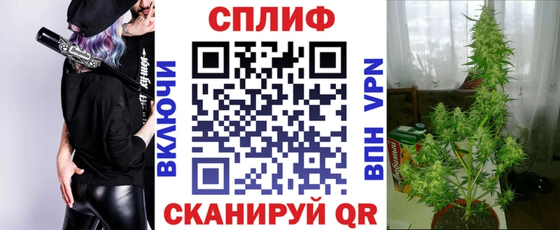 Марихуана Bruce Banner  купить наркоту  Благодарный 